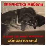 Фото №47 Химчистка мебели, матрасов, ковров на дому у клиента 