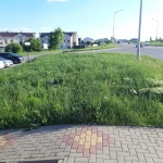 Фото №4 Покос травы