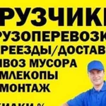 Грузчики