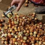 фото Лук репчатый. Качество не сетевое.