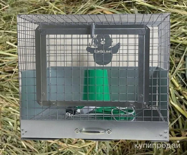 Фото Брудер для цыплят