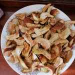 фото Сушеные грибы