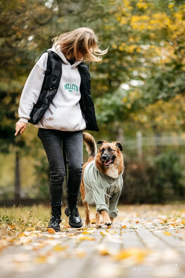 Фото Марти в поиске дома