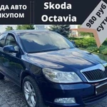 Октавия в аренду с правом выкупа