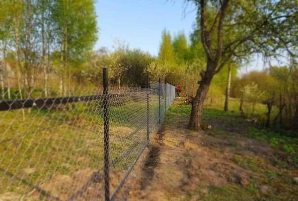 Фото Забор из Сетки Рабицы и Профнастила