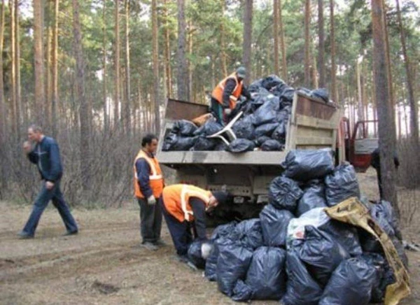 Фото Вывоз мусора.