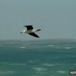 DVD диск 2 часа на Святой Земле Израиль