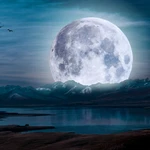 Ремонт, настройка телевизора, телемастер, Разумное