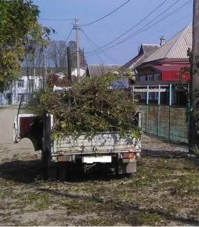 Фото Вывоз веток