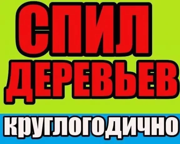Фото Спил деревьев, вывоз АРМАВИР 