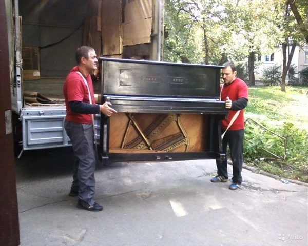 Фото Услуги Грузчиков(Скидка 10%)