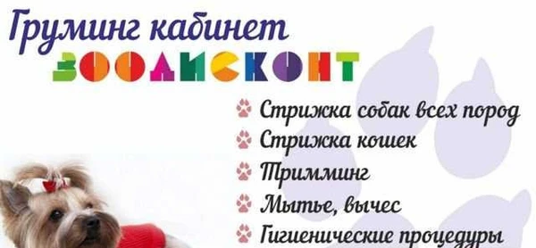 Фото Стрижка собак