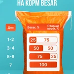 Фото №3 Сухой корм для взрослых кошек Besar