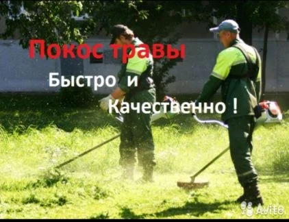 Фото Покос травы
