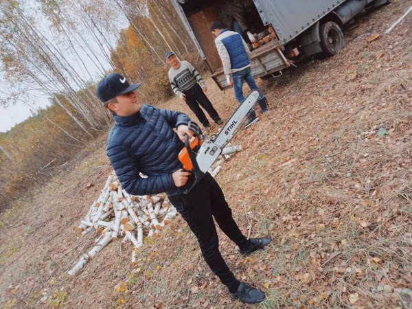 Фото Удаление Деревьев 