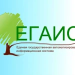 Подключение к системе егаис под ключ