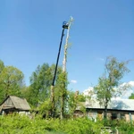 Фото №8 Спил деревьев.