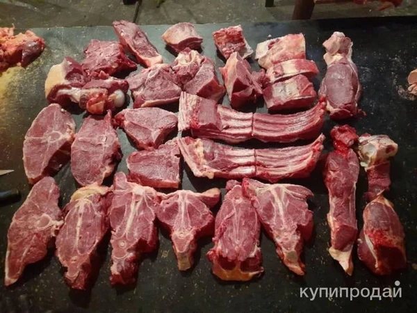 Фото Мясо конина Халяль