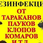 Уничтожение тараканов,клопов,дезинфекция дезинсекц