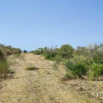 фото Лот  74464 Предлагаем к продаже земельный участок 64,1 сот.