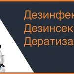 Фото №2 Дезинсекция/дератизация