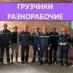 Грузчики Разнорабочие