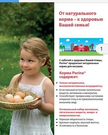 Фото Комбикорм Purina для кур несушек. Старт, рост, фазовый.