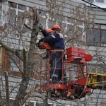 Обрезка аварийных деревьев любой сложности.