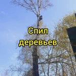 Фото №3 Спил опасных деревьев Расчистка участка