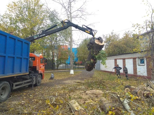 Фото Ломовоз с грейферным захватом