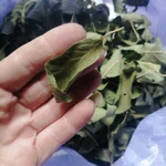 Фото №3 Листья алычи дикой. Цена за 50 грамм.