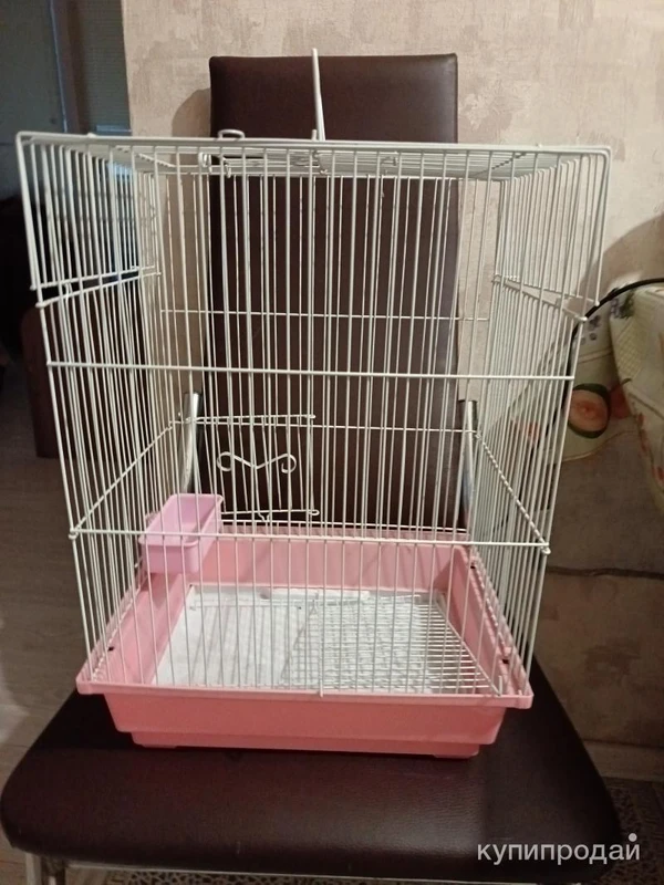 Фото Клетка