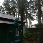 Фото №2 Высотные работы. Спил/обрезка деревьев. Чистка кровель от снега, наледи, сосулек.
