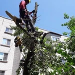 Фото №9 Высотные работы Промышленный альпинизм