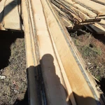 Фото №3 Доска из Липы