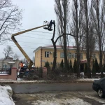 Фото №2 Услуги по спиливанию деревьев
