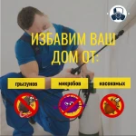 Уничтожение клопов СПб