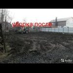 Фото №9 Спил дерева обрезка валка корчевание