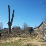 Фото №2 Удаление деревьев целиком,частями в Волховском р-не.