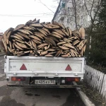 Фото №2 Дрова