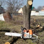 Корчевание,Обрезка деревьев и пней.