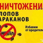 Фото №3 Уничтожение тараканов,клопов,блох и грызунов