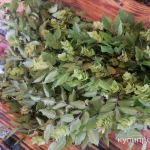 Фото №2 Бук. Цена за 100 грамм.