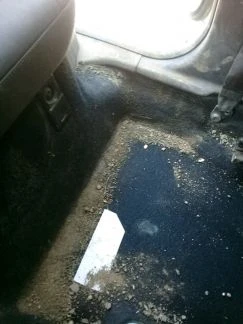 Фото Химчистка автомобиля