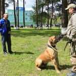 Профессиональная дрессировка собак любых пород