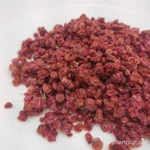 Фото №2 Брусника сушёная из Карелии 2024