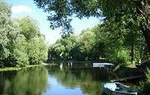 фото Дачный участок у воды. Река Дубна. Дмитровское шоссе.