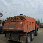 Фото №8 Дрова Берёзовые.