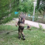 Фото №2 Покос травы