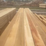 Фото №3 Лиственница, хвоя продажа оптом от производителя.